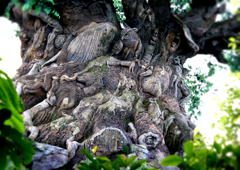 tree of life