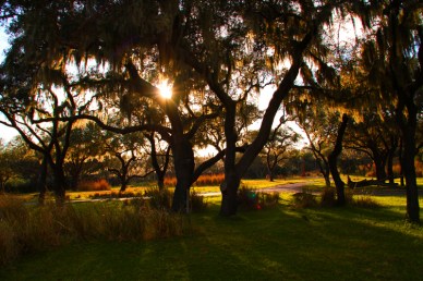 our-first-WDW-trip-3-071